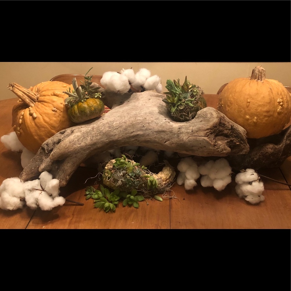 Meet your Posher, Julie